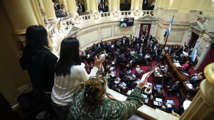 Senado: JXC frustró la sesión e impidió el tratamiento de la Ley Lucio y Alcohol Cero